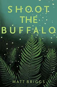 Shoot the Buffalo by Matt Briggs